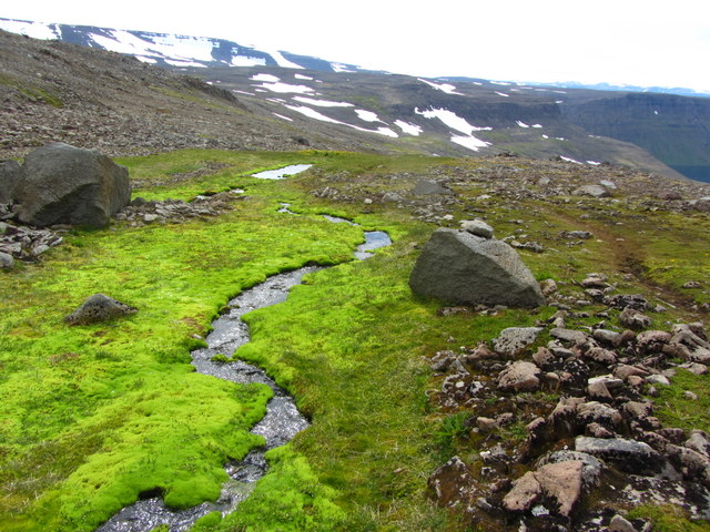 Iceland
