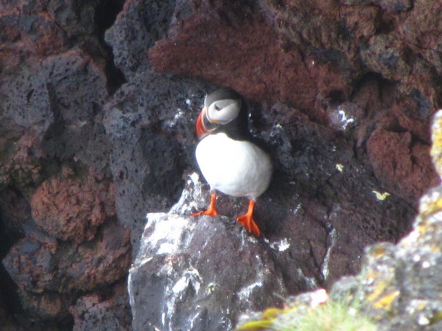 הפאפין הראשון בטיול!!!
